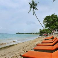 calamander unawatuna beach