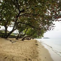 gajapuri resort