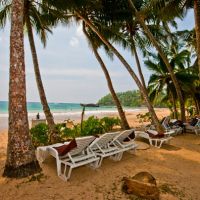 paradise beach club