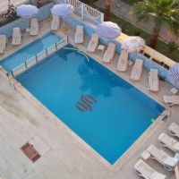 rose hotel
