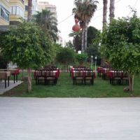 rose hotel