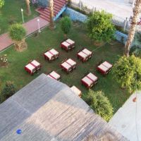 rose hotel