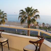 rose hotel