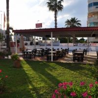 rose hotel