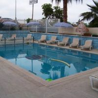 rose hotel