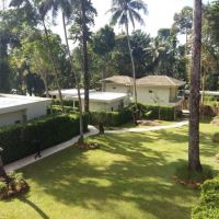 nest sense resort