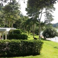 nest sense resort