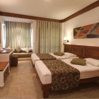 montana pine resort