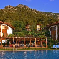 montana pine resort