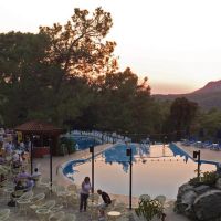 montana pine resort