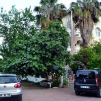 ipek organic hotel