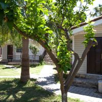 leda beach hotel