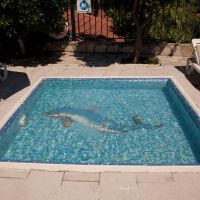 leda beach hotel