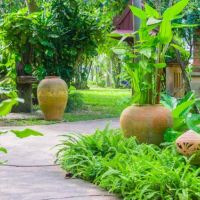 samui sense beach resort
