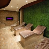 spa and resort borovets hills
