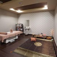 spa and resort borovets hills