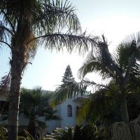 kyknos beach hotel