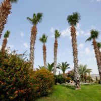 ascos coral beach hotel