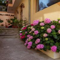 villa orchidea_mz