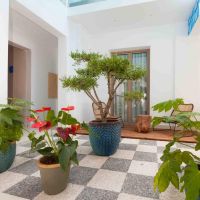 serenity blue hotel 4 *