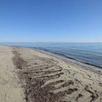 paralia beach boutique hotel 3*