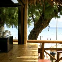 aphrodite beach