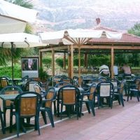 corina paloma garden