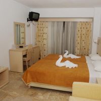 grand victoria hotel 3 *