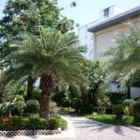 eurasia boutique hotel