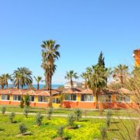 albatros beach club (ex. club star beach)
