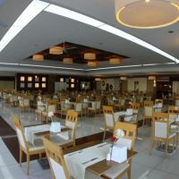 green forest holiday village