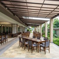 olive tree hotel