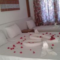 side nergos garden hotel