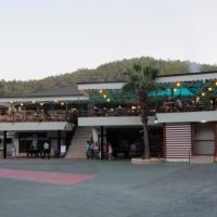 green forest holiday village