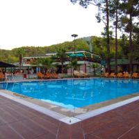 green forest holiday village
