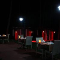 green forest holiday village