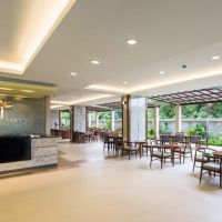 olive tree hotel