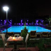 green forest holiday village