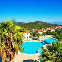 daisy garden resort