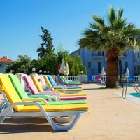 daisy garden resort