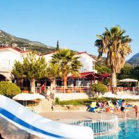 daisy garden resort