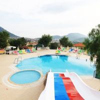 daisy garden resort