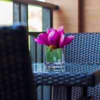 sunsky resort