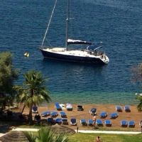 florida blue bay 4 *