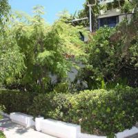 adele beach hotel