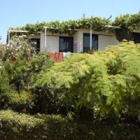adele beach hotel