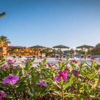 magic tulip beach resort 4 *
