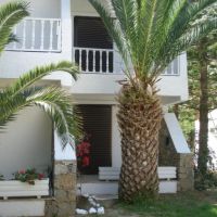 avra palm