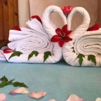 dream park bungalow hotel 3 *