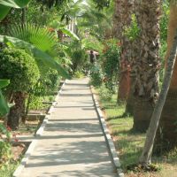 dream park bungalow hotel 3 *